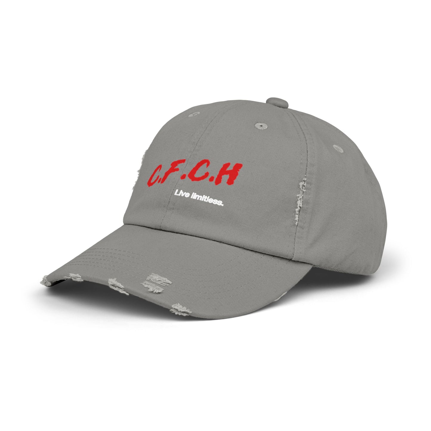 Distressed D.A.R.E. Cap
