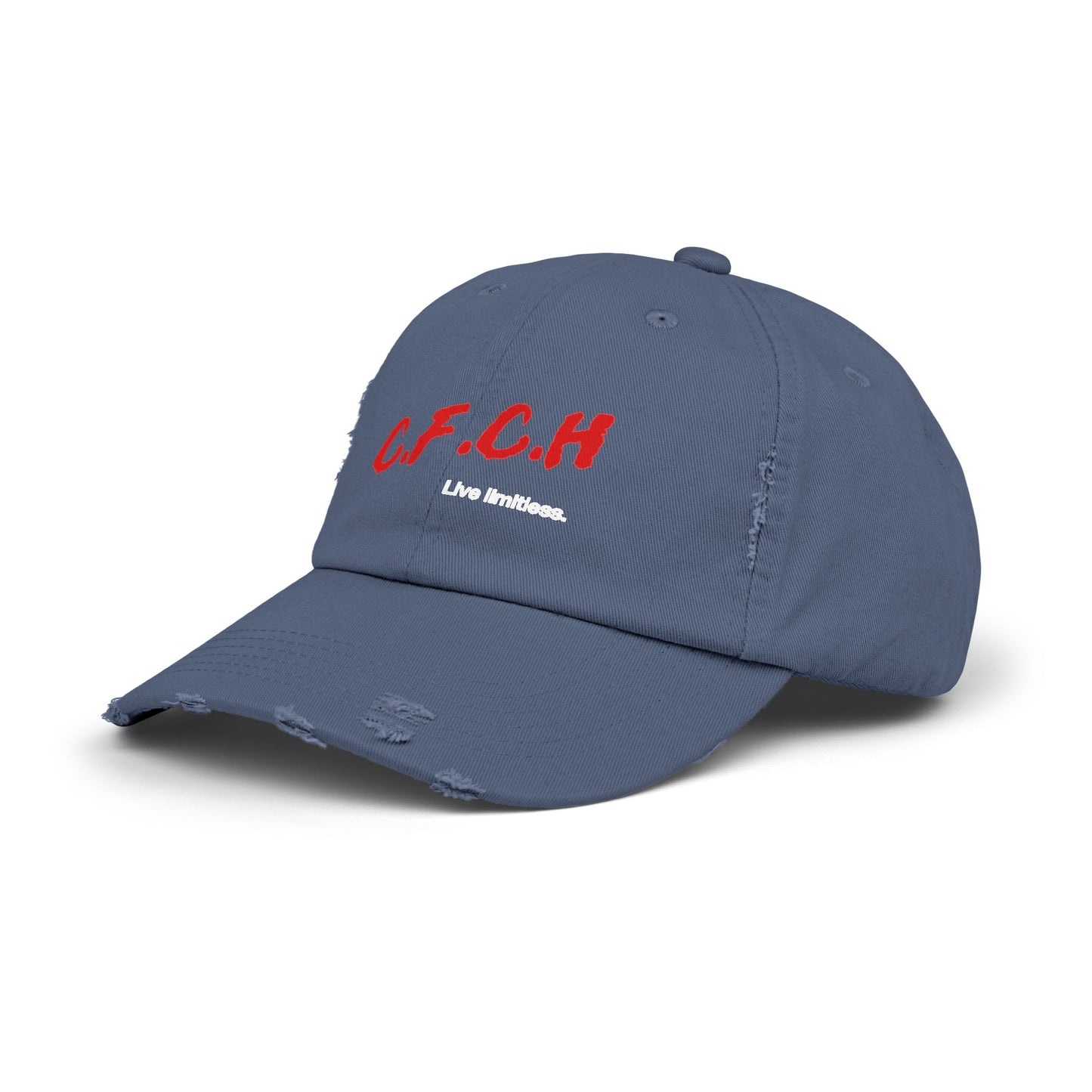 Distressed D.A.R.E. Cap